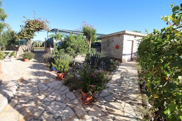 Apartments Helena Zadar فرسي المظهر الخارجي الصورة