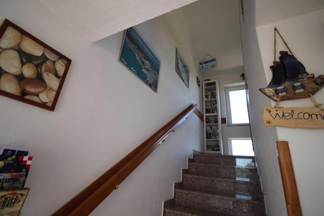 Apartments Helena Zadar فرسي المظهر الخارجي الصورة
